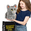 Warrior Cats Large Mystery Plush Series 1
