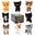 Warrior Cats Mini Mystery Plush Series 1