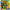 Mighty Morphin Power Rangers Combinable Thunderzord - Lion