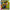 Mighty Morphin Power Rangers The Ultimate Mega Thunderzord