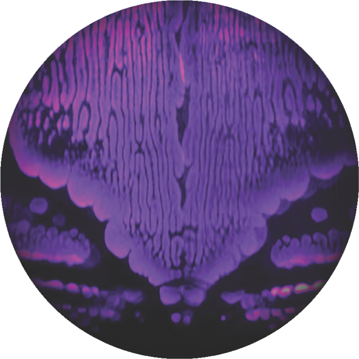 The Abominable Snowman - 1967's most iconic monster, reimagined