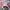 Sticki Rolls Jumbo Sticki Mystery Roll S3
