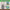 Sticki Rolls Minecraft Capsules