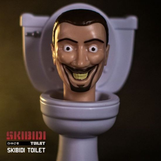 Skibidi Toilet Mystery Collector Figures-1310